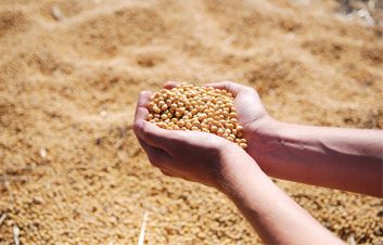 FINCOMBANK TE SUSŢINE ÎN NOUL SEZON AGRICOL FINCOMBANK TE SUSŢINE ÎN NOUL SEZON AGRICOL