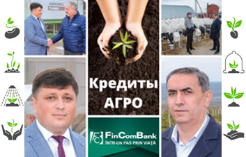 Кредиты АГРО от FinComBank помогут выстоять и стать сильнее Кредиты АГРО от FinComBank помогут выстоять и стать сильнее