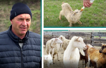 #Clienţi | Antreprenorul Grigore Caraman şi o afacere prosperă în domeniul zootehniei #Clienţi | Antreprenorul Grigore Caraman şi o afacere prosperă în domeniul zootehniei